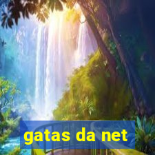 gatas da net