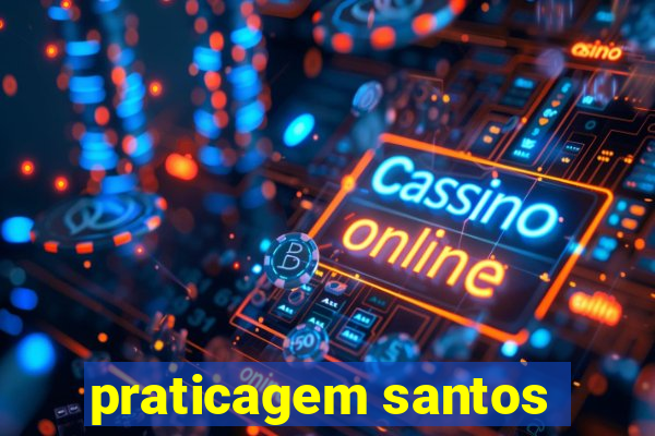 praticagem santos