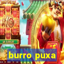 burro puxa