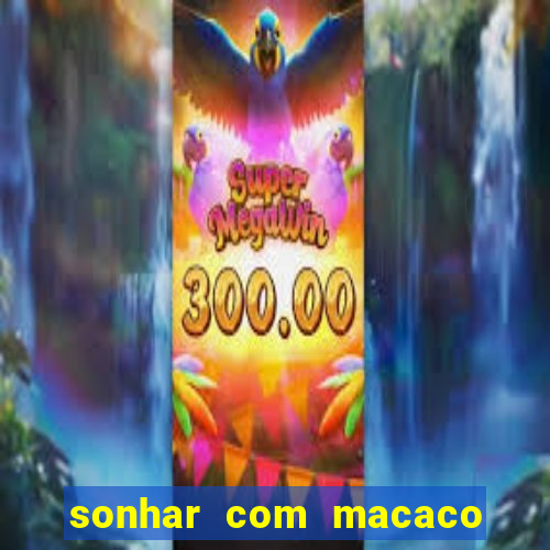 sonhar com macaco o que significa