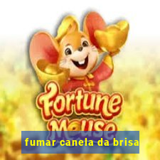 fumar canela da brisa