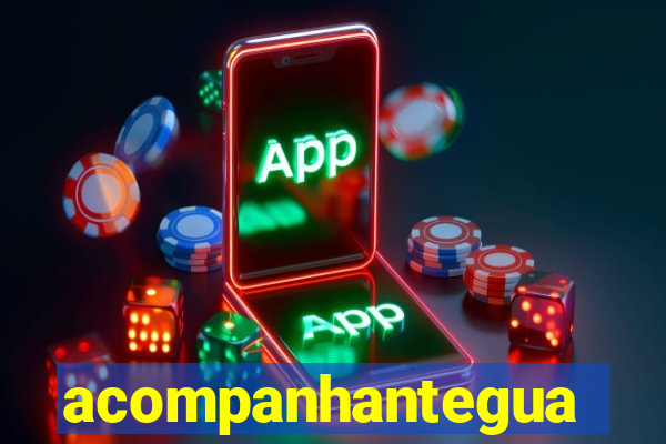 acompanhanteguanambi