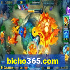 bicho365.com