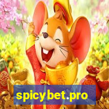 spicybet.pro